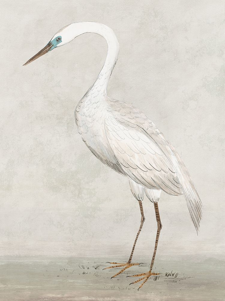 Vintage Heron II art print by Lily K for $57.95 CAD