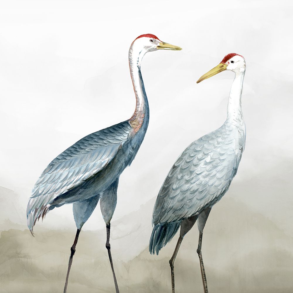 Two Cranes in Quiet Harmony art print by Lily K for $57.95 CAD