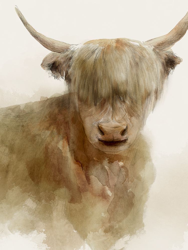 Gentle Gaze of the Highland art print by Lily K for $57.95 CAD