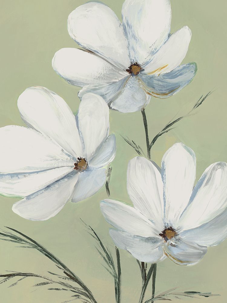 White Blooms Against Soft Green II art print by Lily K for $57.95 CAD