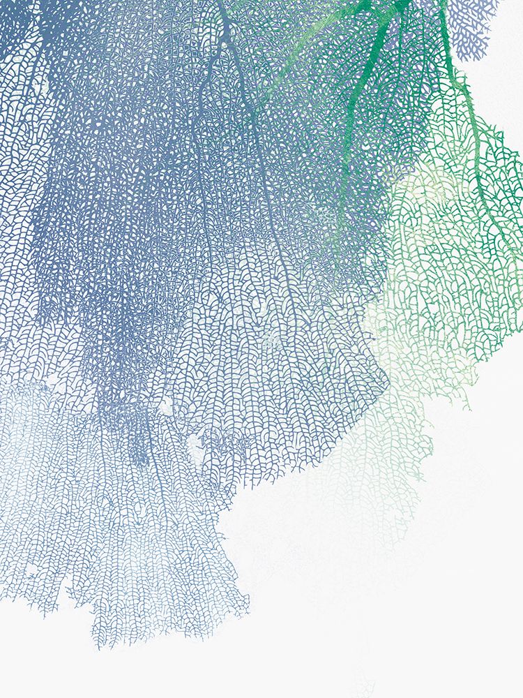 Natures Intricate Veil I art print by PI Studio for $57.95 CAD