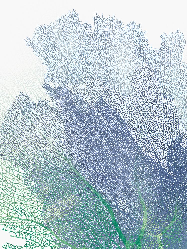 Natures Intricate Veil II art print by PI Studio for $57.95 CAD
