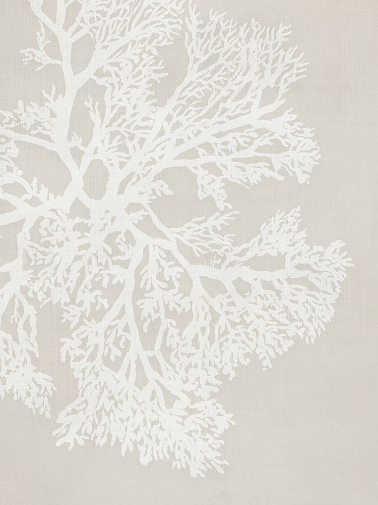 White Coral on Textured Canvas I art print by PI Studio for $57.95 CAD