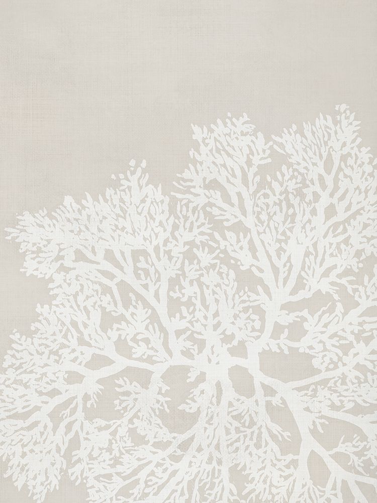 White Coral on Textured Canvas II art print by PI Studio for $57.95 CAD