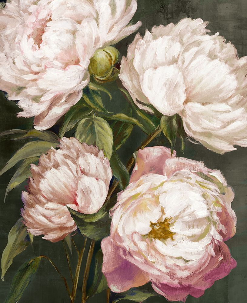 Blooming Peonies against Dark Backdrop art print by PI Studio for $57.95 CAD