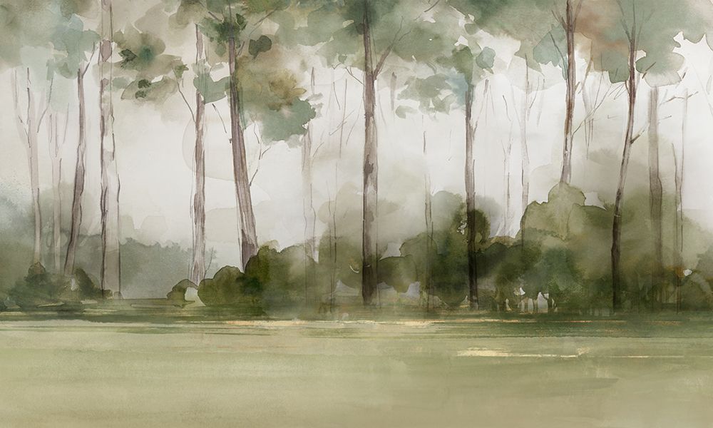 Misty Forest Morning Light art print by PI Studio for $57.95 CAD