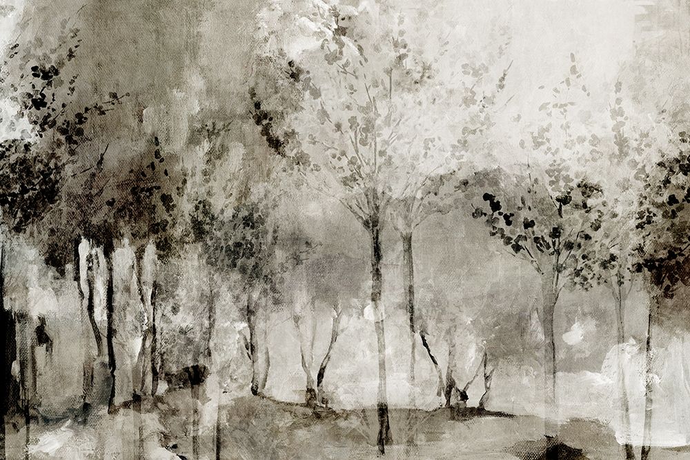 Misty Woodland Reflections art print by PI Studio for $57.95 CAD