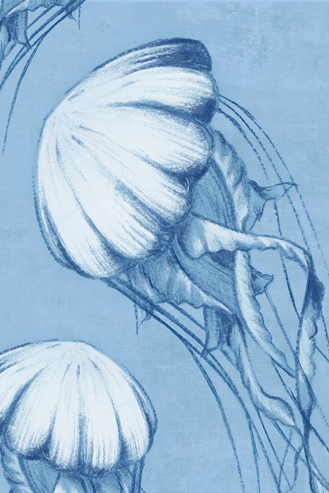 Underwater Life in Blue II art print by PI Studio for $57.95 CAD