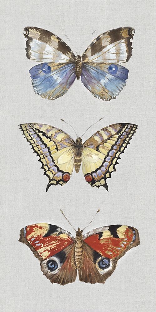 Catching Butterflies II art print by Maya Woods for $57.95 CAD