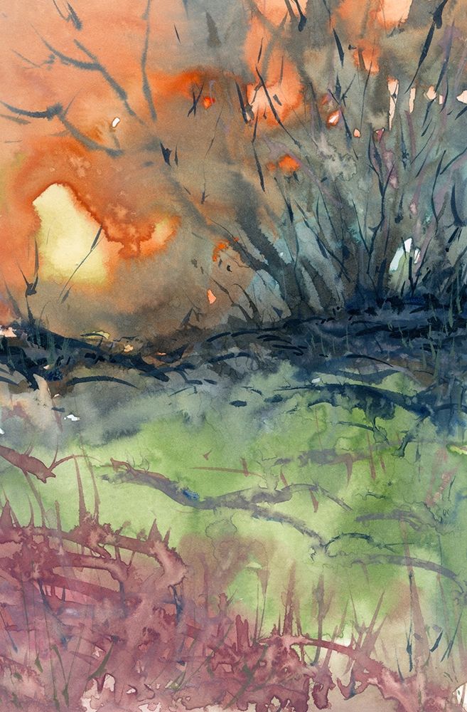 Morning Rays art print by Randy Noble for $57.95 CAD
