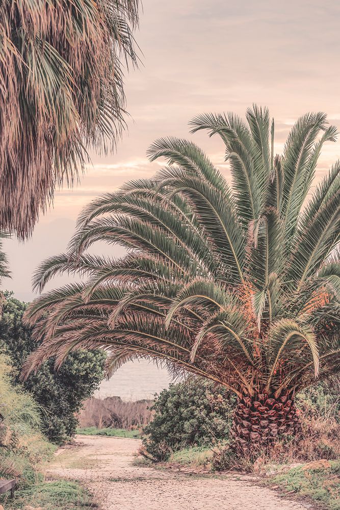 Portugal Travel Impression Pastel Sundown art print by Andrea Haase for $57.95 CAD
