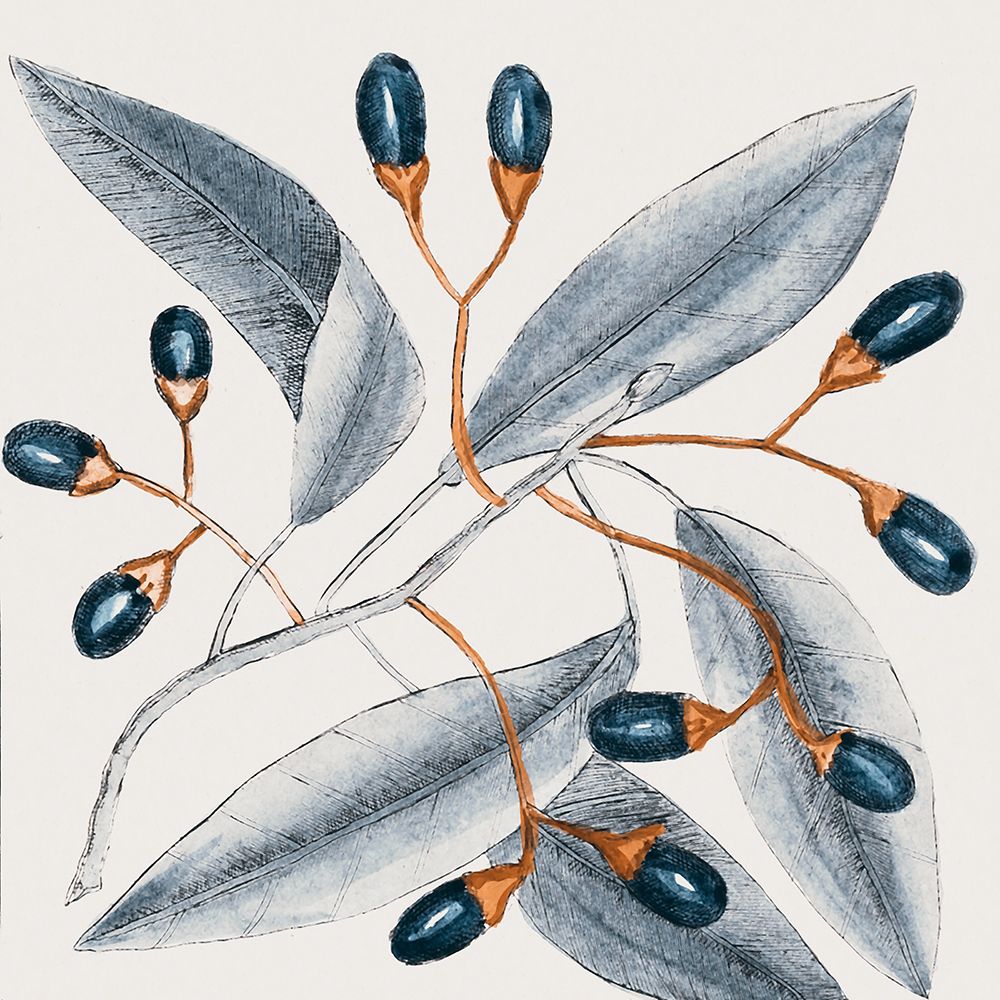 Vintage Blue Botanical I art print by Andrea Haase for $57.95 CAD