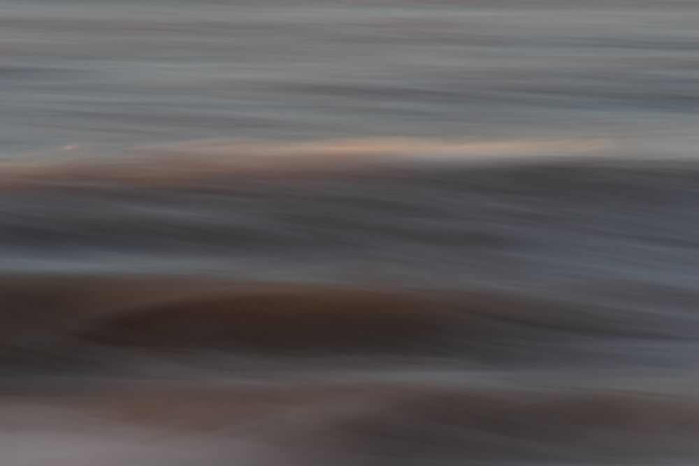 Blissful I art print by Norm Stelfox for $57.95 CAD