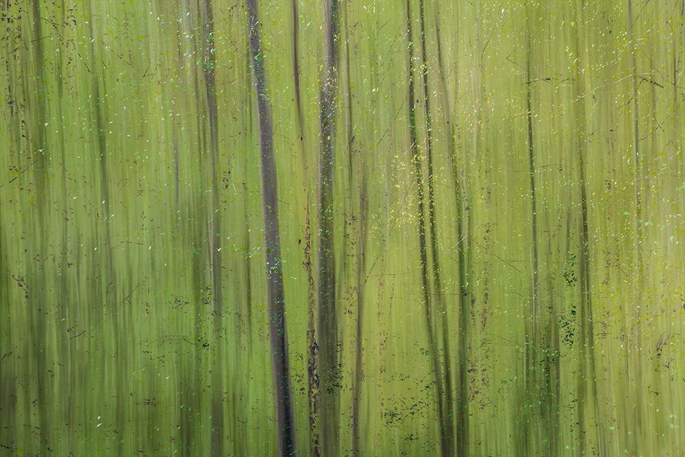 Green I art print by Norm Stelfox for $57.95 CAD
