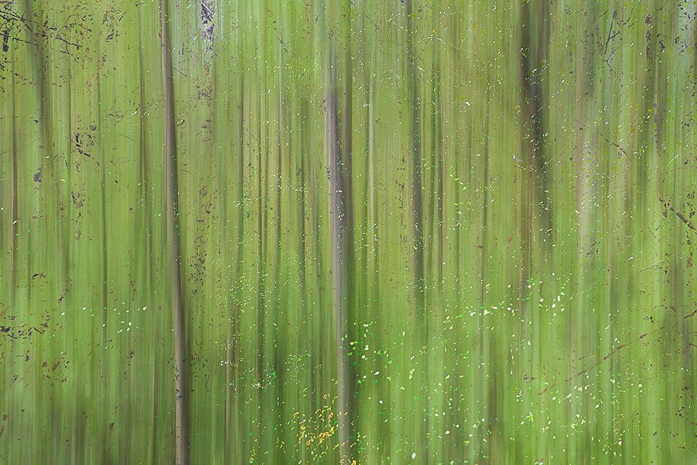Green II art print by Norm Stelfox for $57.95 CAD