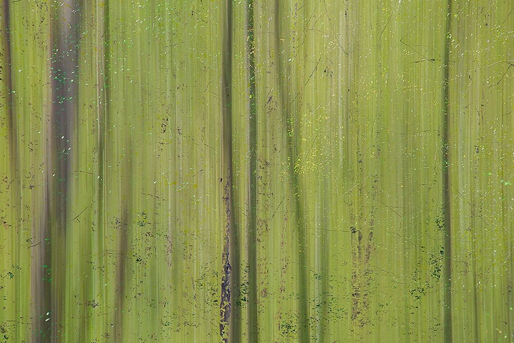 Green III art print by Norm Stelfox for $57.95 CAD