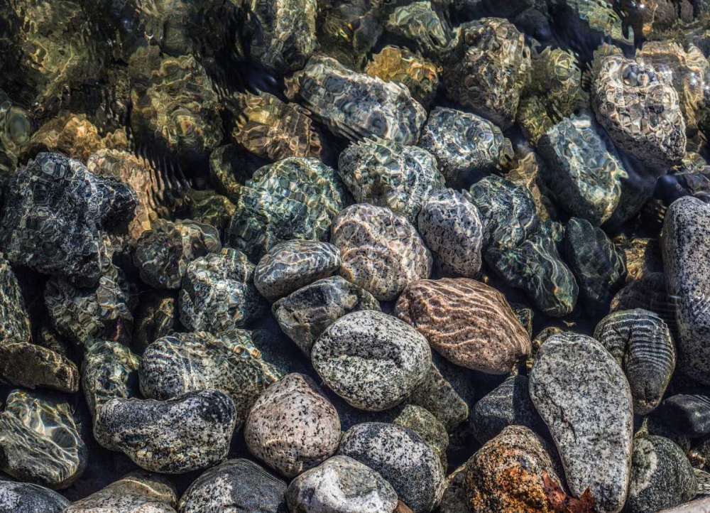 Rock Reflection III art print by Norm Stelfox for $57.95 CAD
