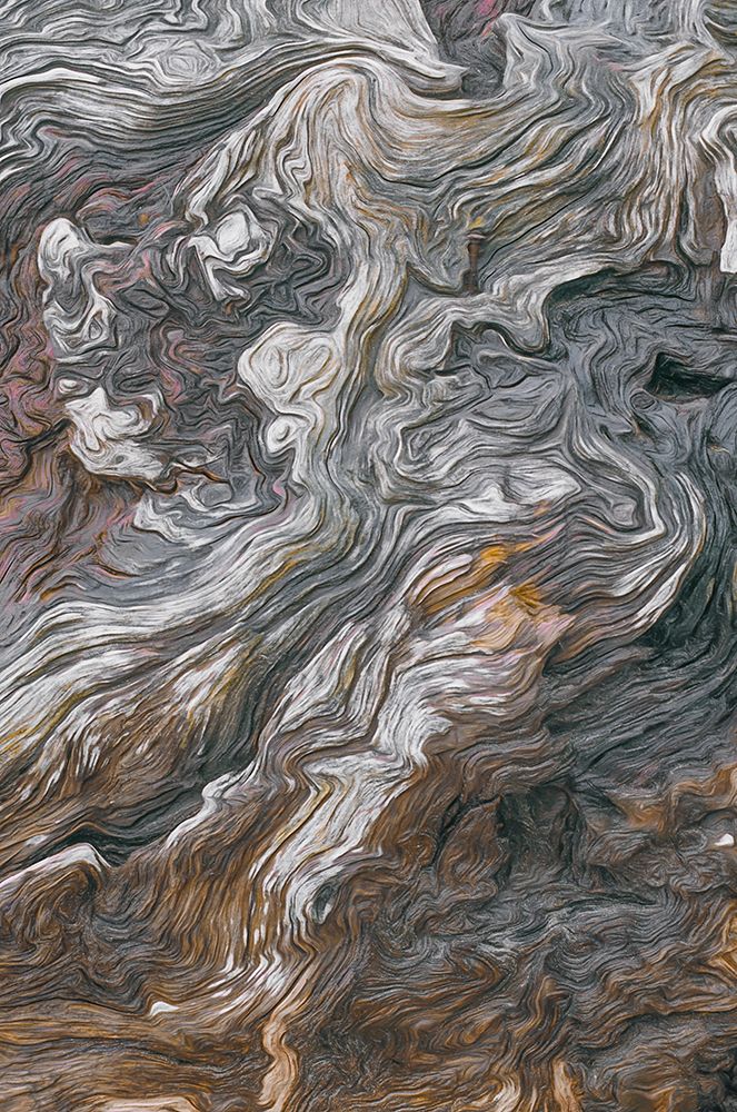 Driftwood Series V art print by Norm Stelfox for $57.95 CAD