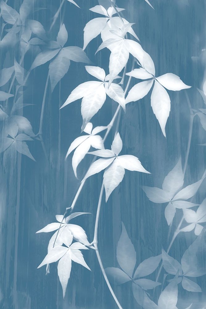 Reductive Vine II art print by Norm Stelfox for $57.95 CAD