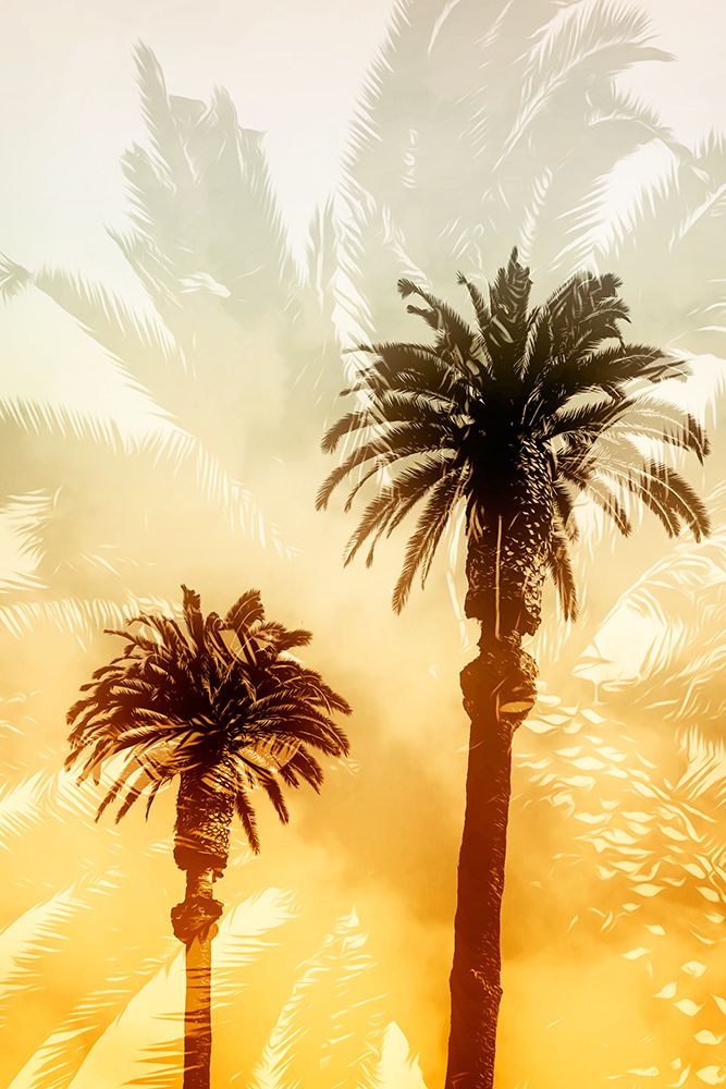 Palm Dreams art print by Norm Stelfox for $57.95 CAD