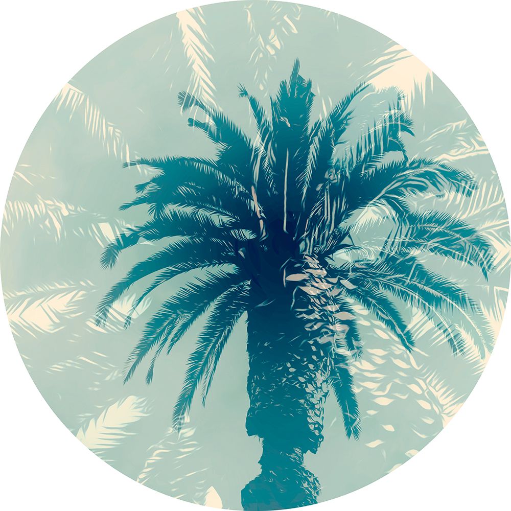 Blue Palm I art print by Norm Stelfox for $57.95 CAD
