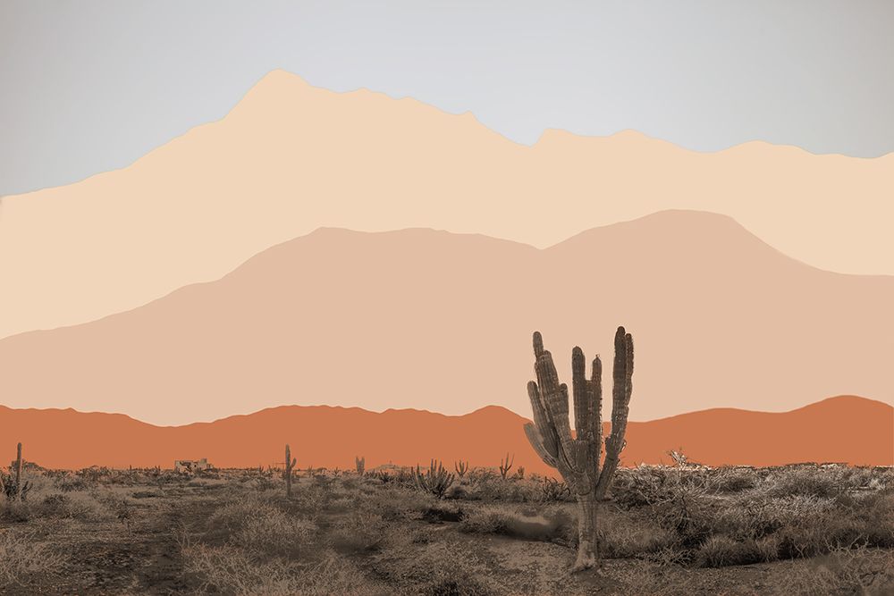 Sunset Joshua art print by Norm Stelfox for $57.95 CAD