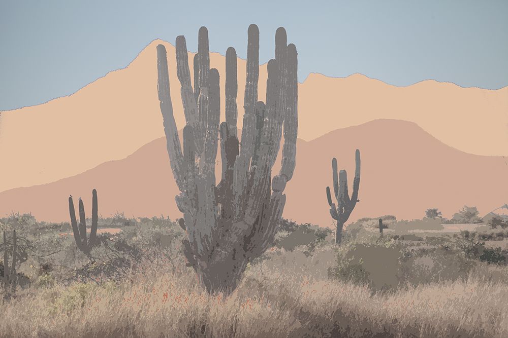 Deser Heat art print by Norm Stelfox for $57.95 CAD