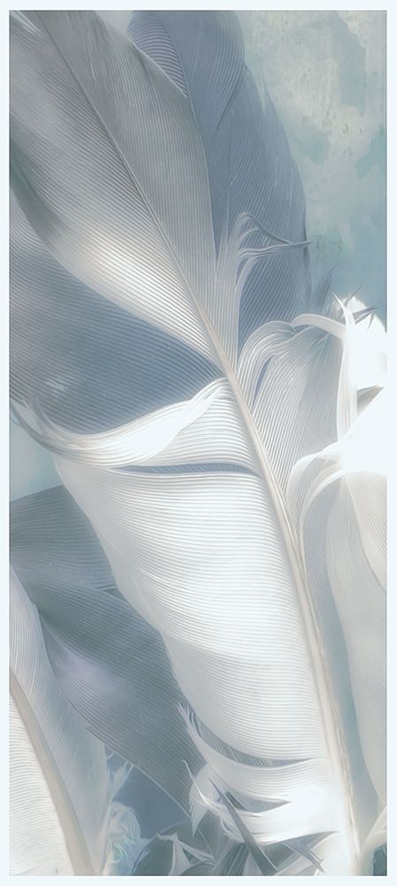 Light Blue Feathers II art print by Norm Stelfox for $57.95 CAD