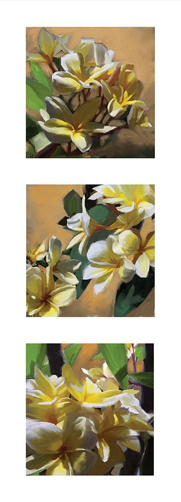Blossom Triptych III art print by Rick Novak for $57.95 CAD