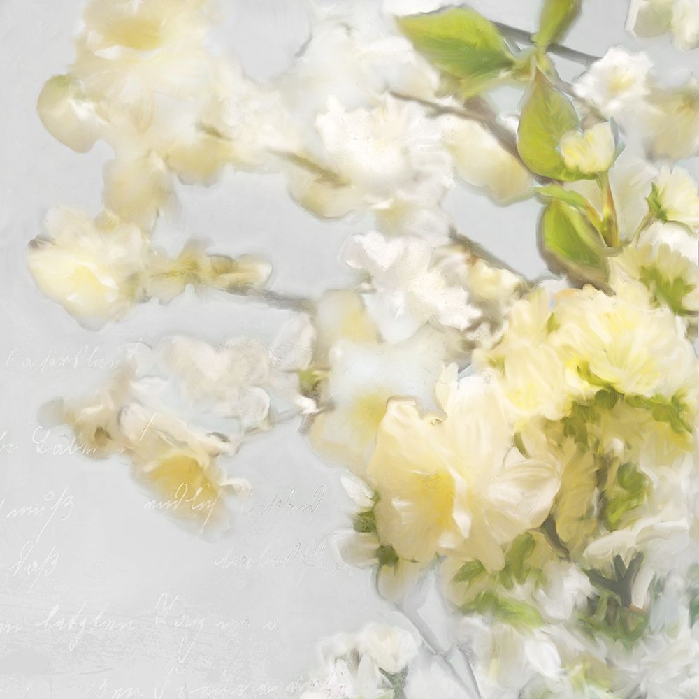 Pale Petals II art print by Rick Novak for $57.95 CAD