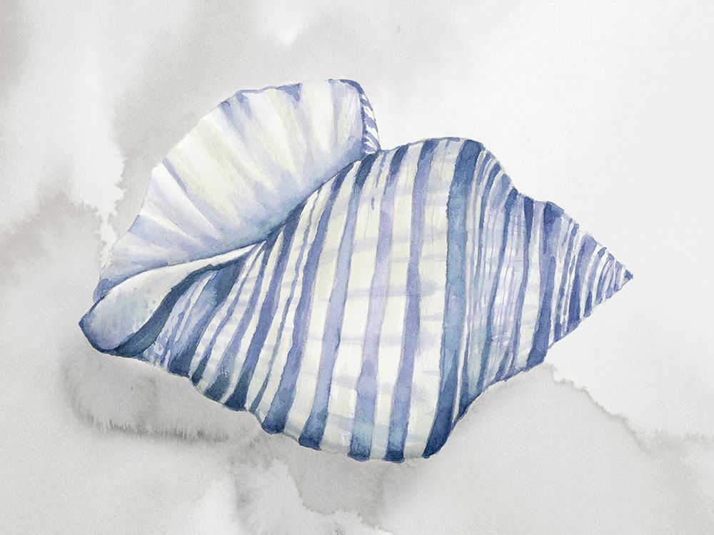 Soft Blue Shell I art print by Eli Jones for $57.95 CAD
