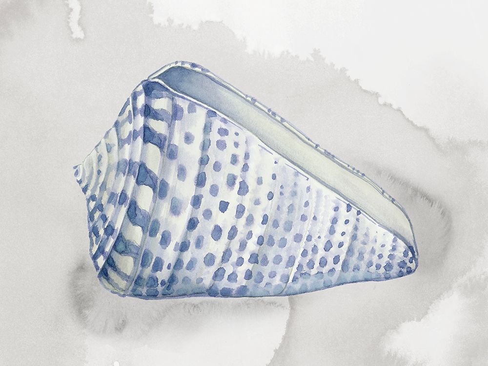 Soft Blue Shell II art print by Eli Jones for $57.95 CAD