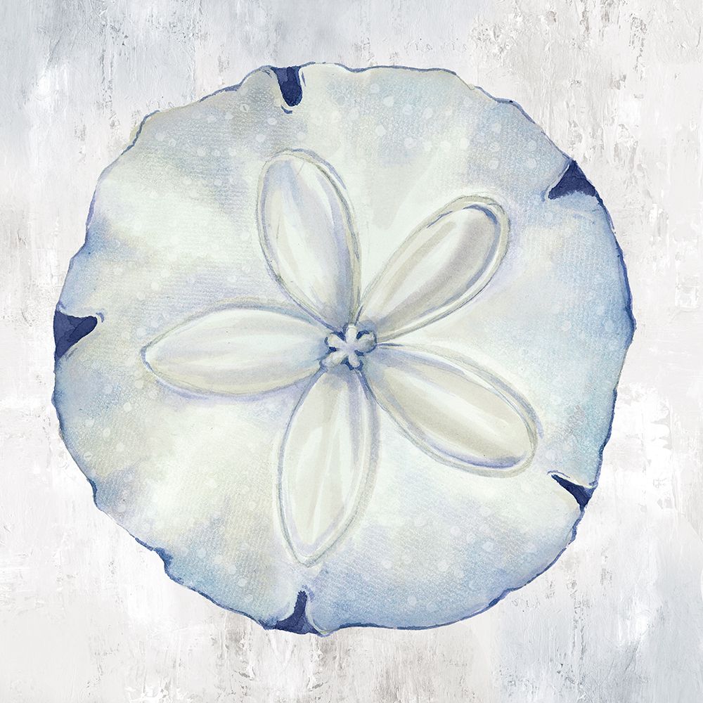 Blue Sand Dollar art print by Eli Jones for $57.95 CAD
