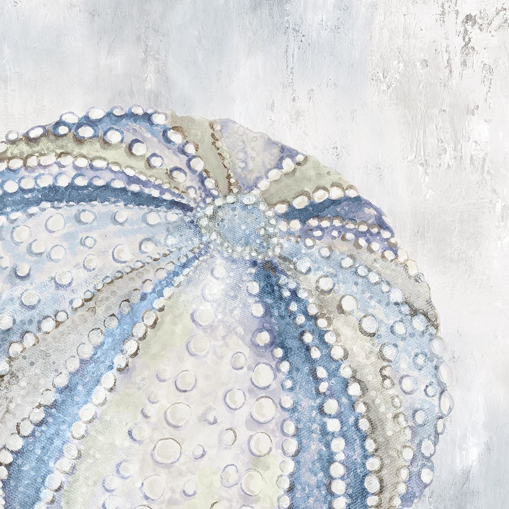 Soft Blue Sea Urchin art print by Eli Jones for $57.95 CAD
