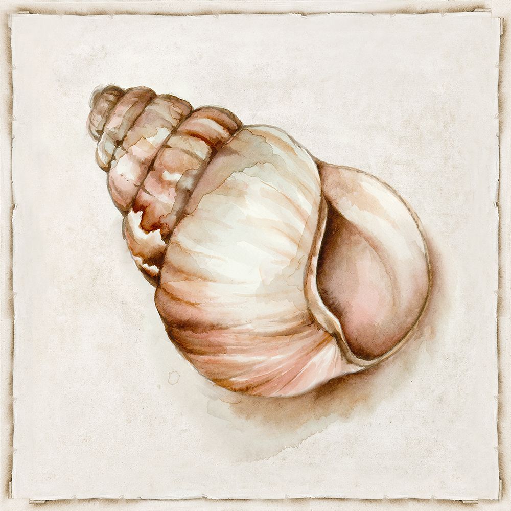 Pink Vintage Shell I art print by Eli Jones for $57.95 CAD