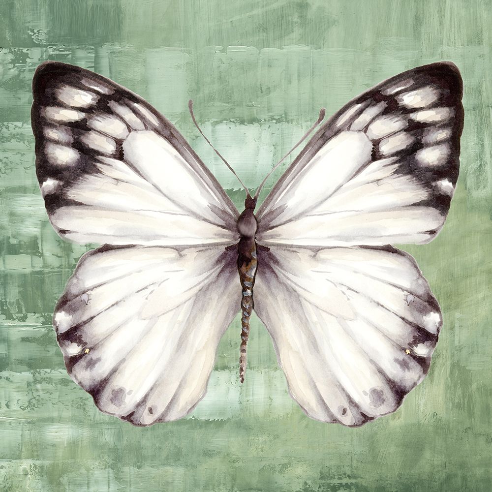 Green Butterfly I art print by Eli Jones for $57.95 CAD