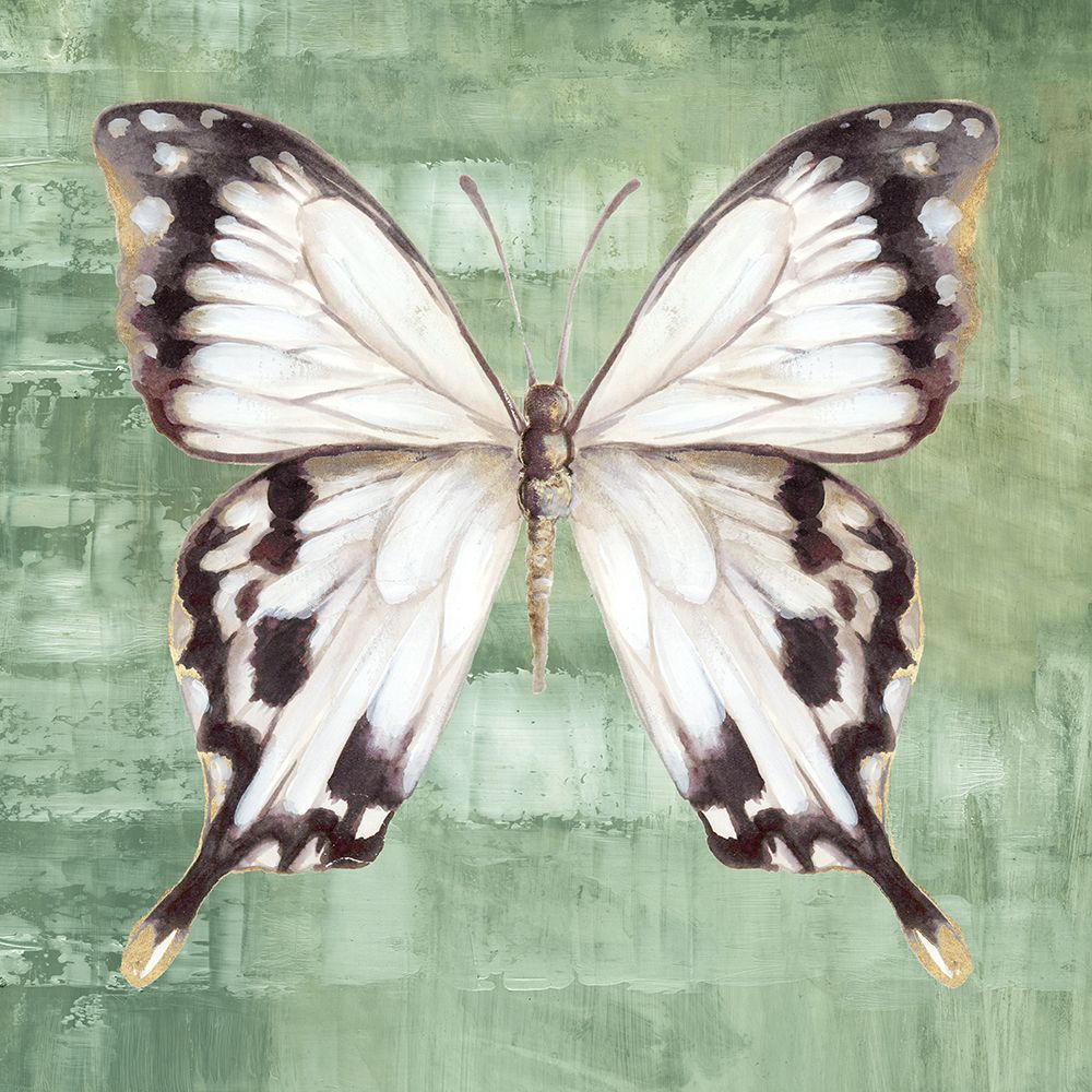 Green Butterfly II art print by Eli Jones for $57.95 CAD