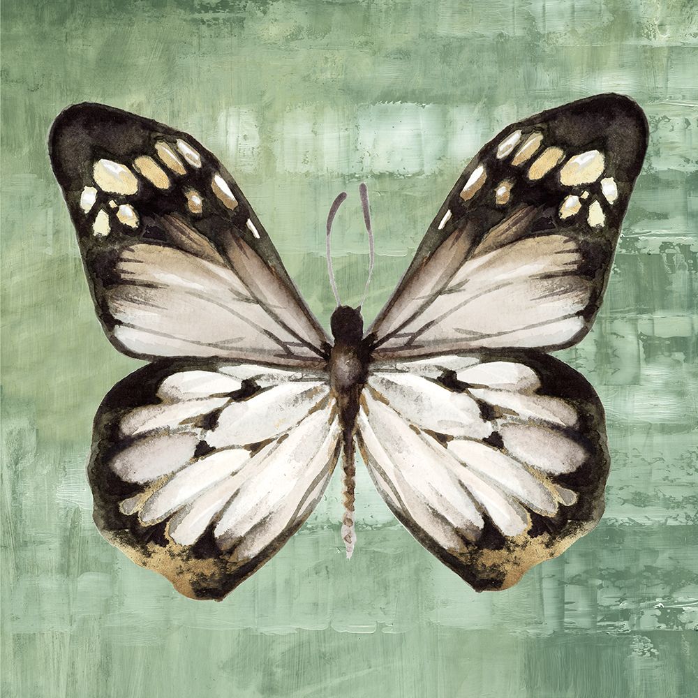 Green Butterfly III art print by Eli Jones for $57.95 CAD