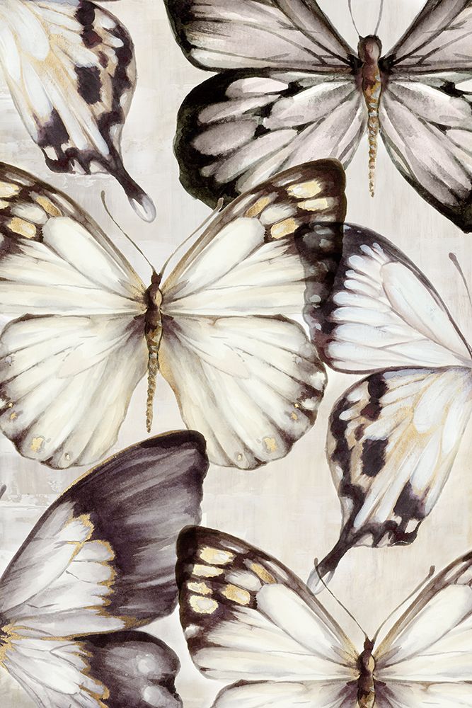 Cluster of Butterflies art print by Eli Jones for $57.95 CAD