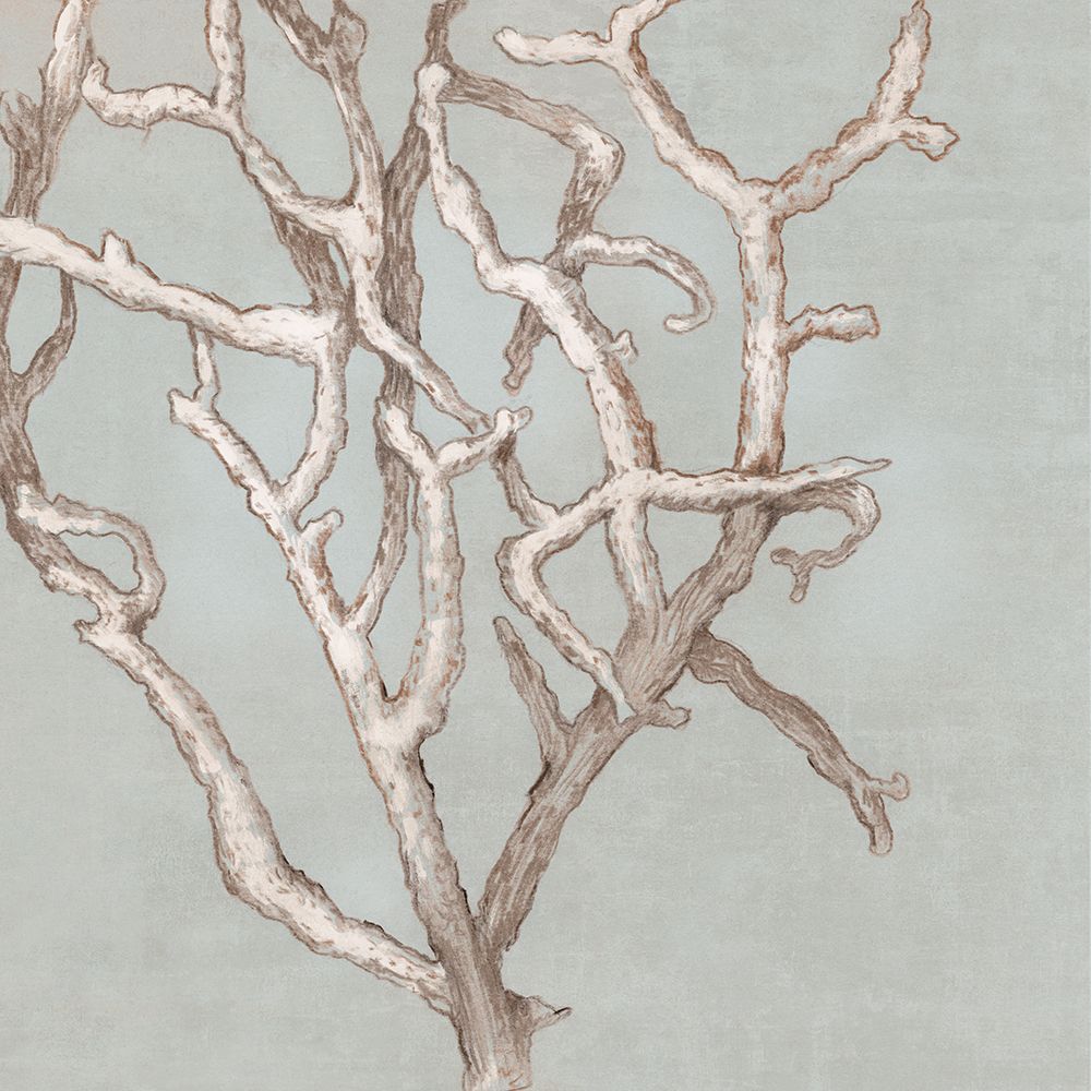 Soft Coral art print by Eli Jones for $57.95 CAD