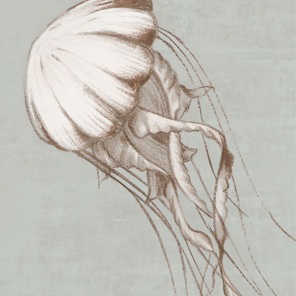 Jellyfish Swim art print by Eli Jones for $57.95 CAD