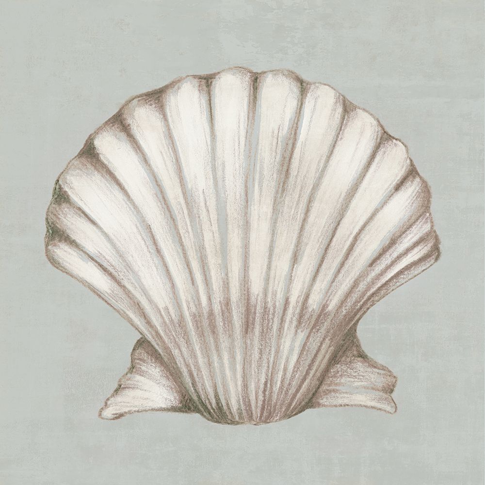 Soft Shell art print by Eli Jones for $57.95 CAD