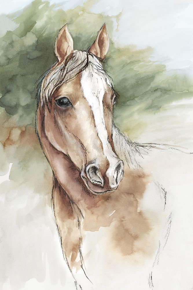 Equine Majesty art print by Eli Jones for $57.95 CAD