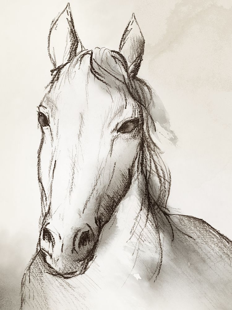 Equestrian Elegance I art print by Eli Jones for $57.95 CAD