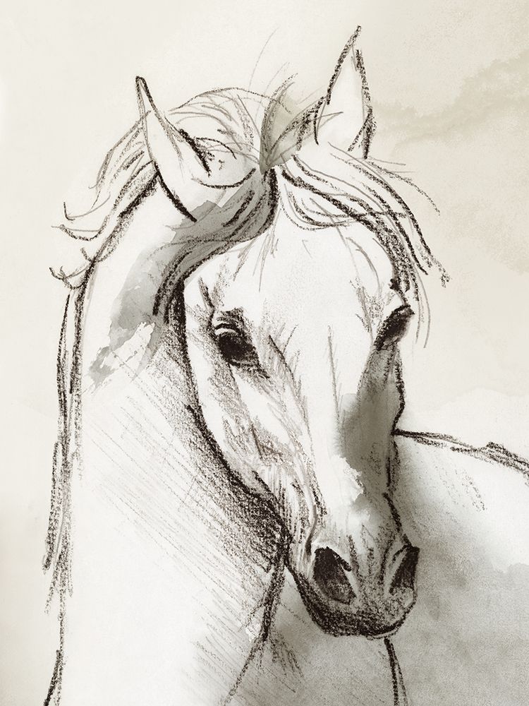 Equestrian Elegance II art print by Eli Jones for $57.95 CAD