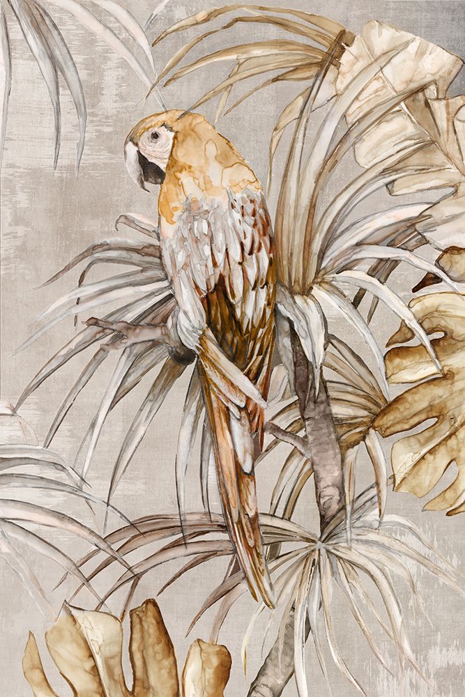 Vintage Parrot art print by Eli Jones for $57.95 CAD