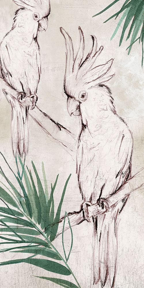 Bird Study I art print by Eli Jones for $57.95 CAD