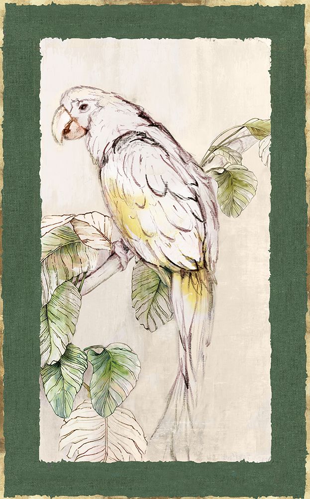 Yellow Parrot art print by Eli Jones for $57.95 CAD