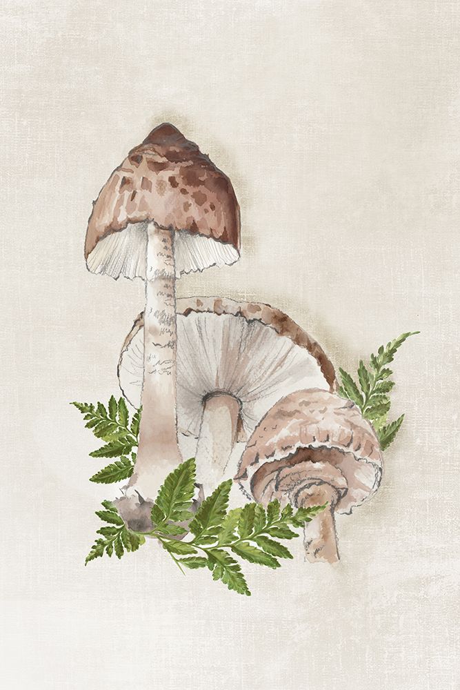 Mushroom Forest Sketch I art print by Eli Jones for $57.95 CAD