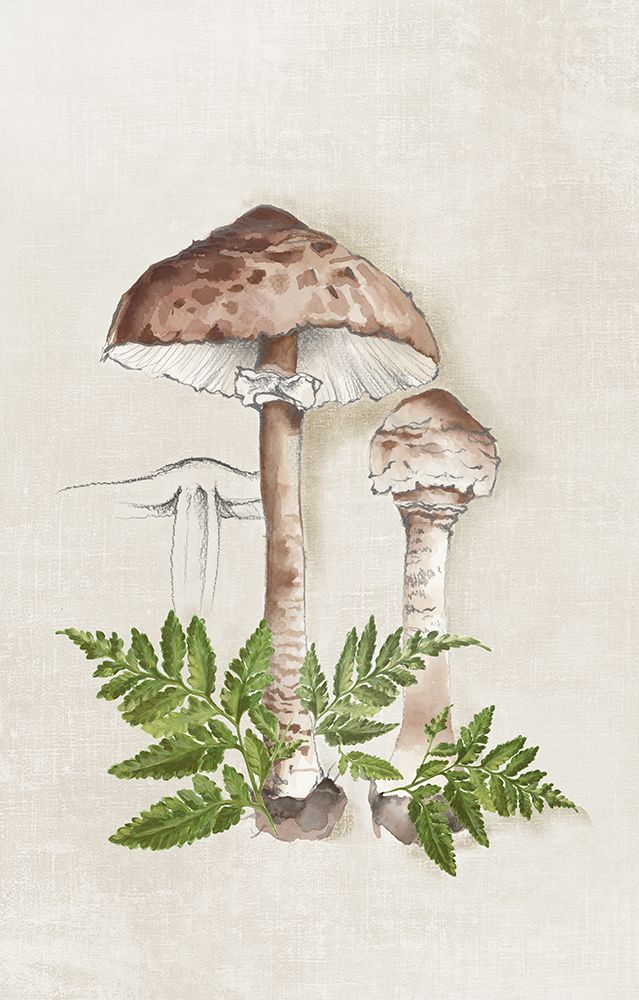 Mushroom Forest Sketch II art print by Eli Jones for $57.95 CAD